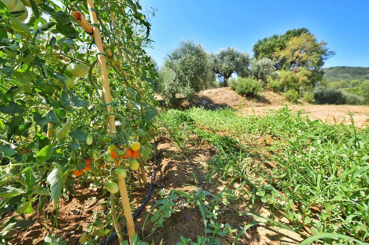 Willa Il Molino Porto Ercole  Zewnętrze zdjęcie