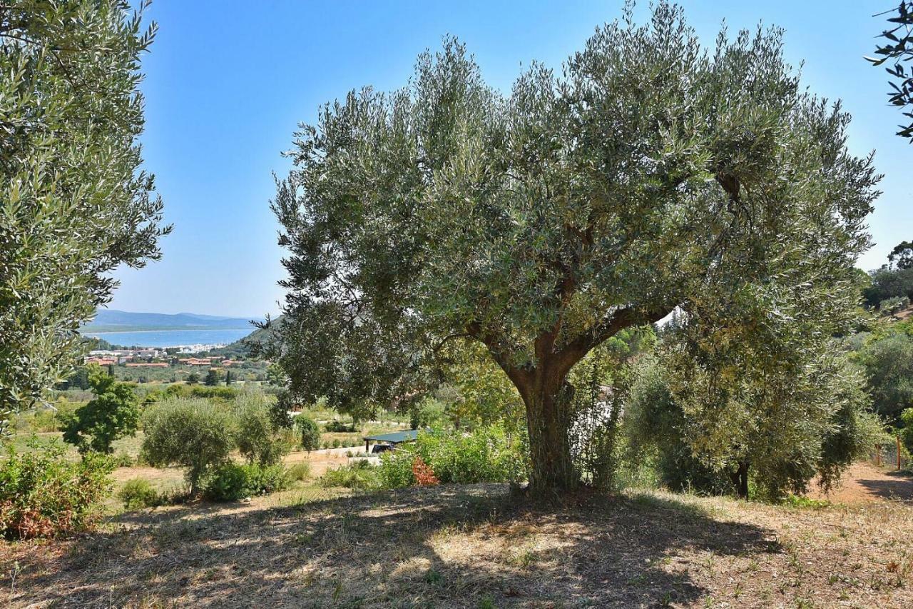 Willa Il Molino Porto Ercole  Zewnętrze zdjęcie
